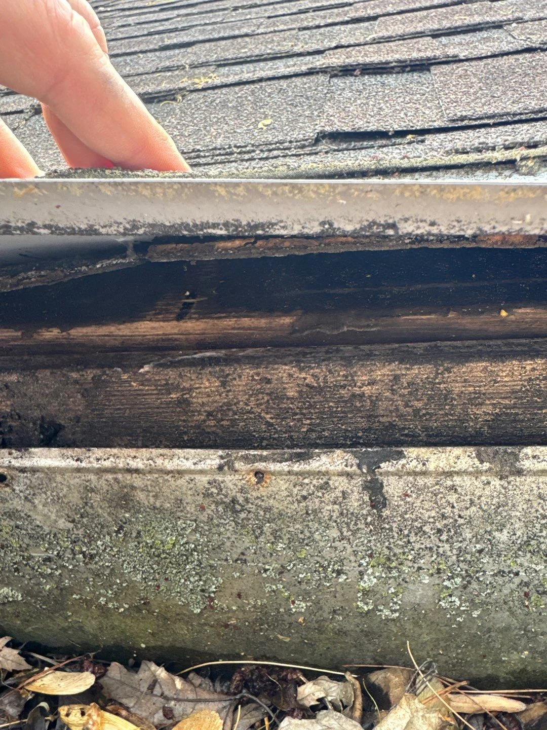 Commercial Roof Inspections: How Often Is Often Enough in Wellington Estates?
